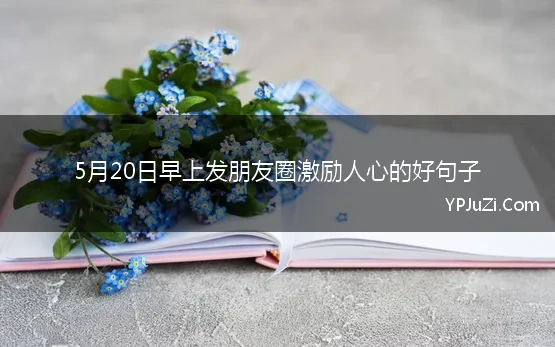 5月20日早上发朋友圈激励人心的好句子