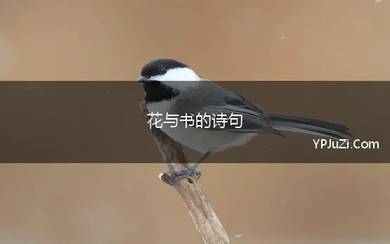 花与书的诗句