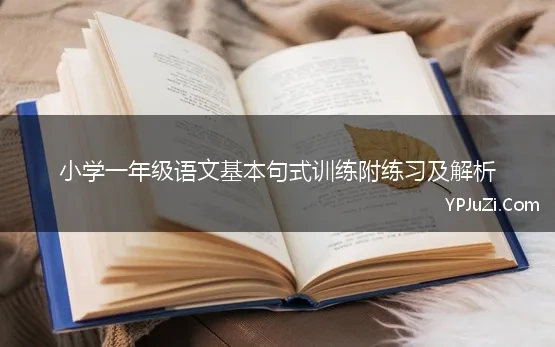 小学一年级语文基本句式训练附练习及解析