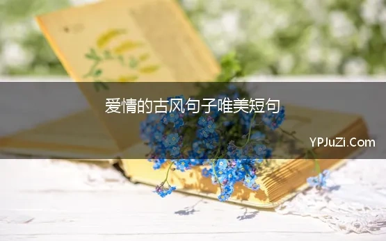 爱情的古风句子唯美短句