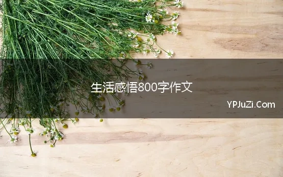 生活感悟800字作文