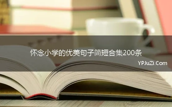 怀念小学的优美句子简短合集200条