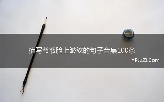 描写爷爷脸上皱纹的句子合集100条