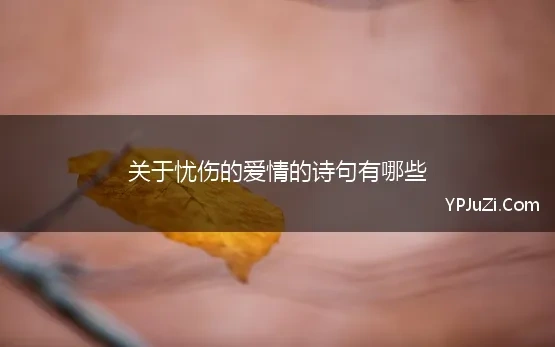 关于忧伤的爱情的诗句有哪些