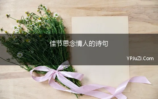 佳节思念情人的诗句