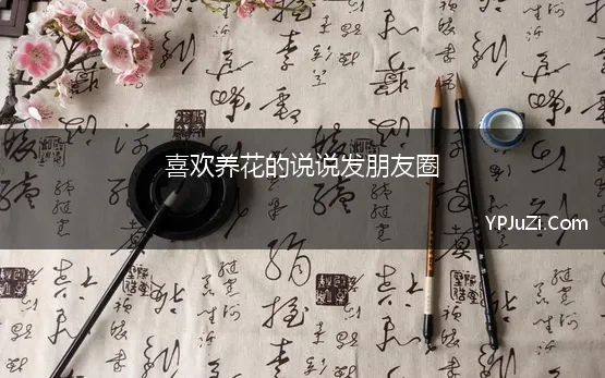 养花种菜的朋友圈说说