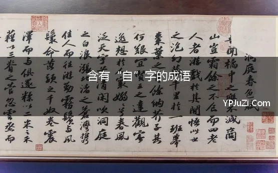 含有“自”字的成语