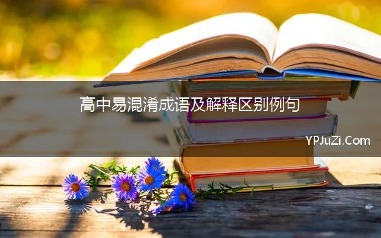 高中易混淆成语及解释区别例句