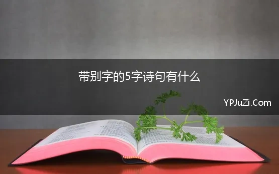 带别字的5字诗句有什么