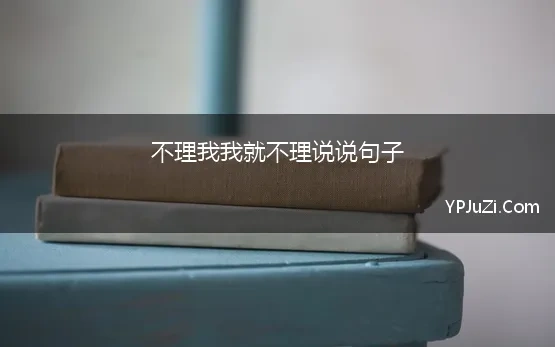 不理我我就不理说说句子