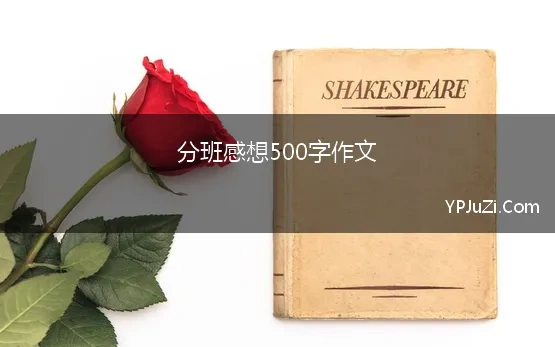 分班感想500字作文(分班风波作文500字参考)