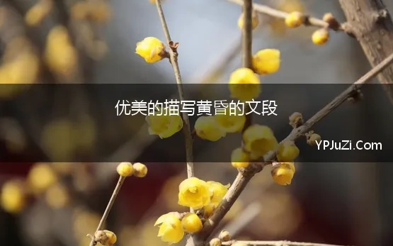 含有黄昏的诗句有哪些四年级