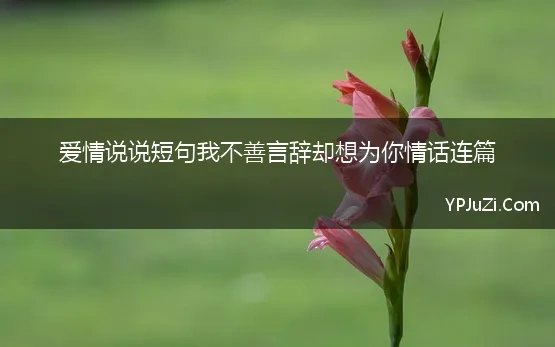 爱情说说短句我不善言辞却想为你情话连篇