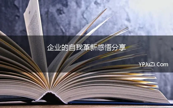 企业的自我革新感悟分享 自我革新，促进企业持续成长