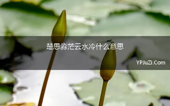 楚思淼茫云水冷什么意思(楚思渺茫云水冷翻译，楚思淼茫云水冷,商声清脆管弦秋的意思及全诗鉴赏)