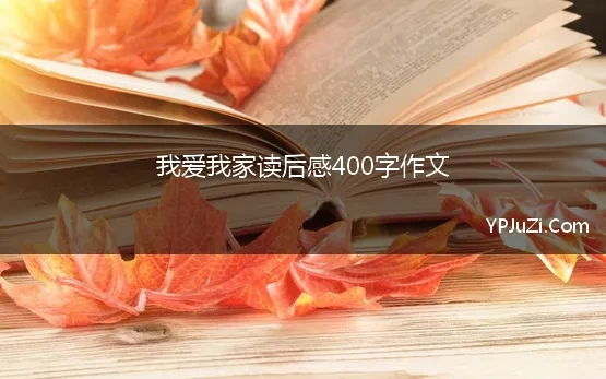 我爱我家读后感400字作文 《我爱我家》读后感作文