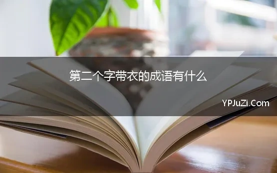 第二个字带衣的成语有什么