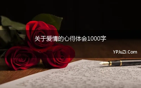 关于爱情的心得体会1000字 我的爱情观1000字作文精选5