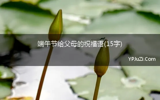 端午节给父母的祝福语(15字)