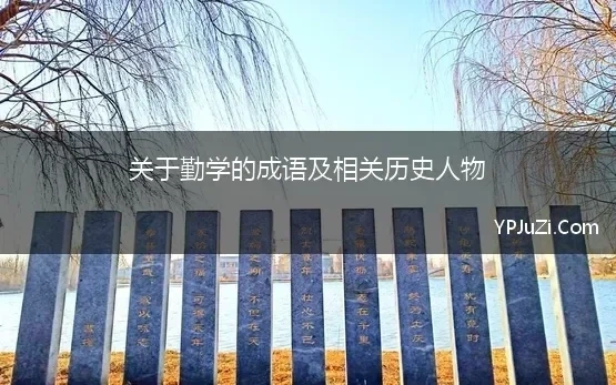 关于勤奋学习的成语