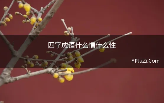 四字成语什么情什么性