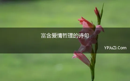 富含爱情哲理的诗句