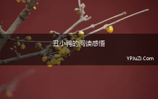 丑小鸭的阅读感悟 《丑小鸭》优秀读书感悟