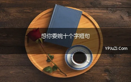 想你委婉十个字短句