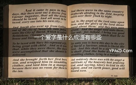 一个爱字是什么成语有哪些