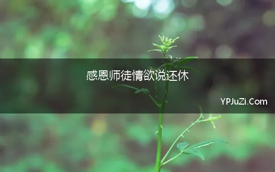 师父教诲的句子