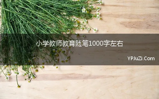 小学教师教育随笔1000字左右