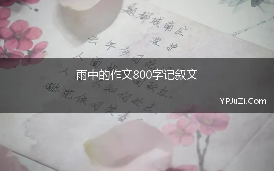 雨中的作文800字记叙文