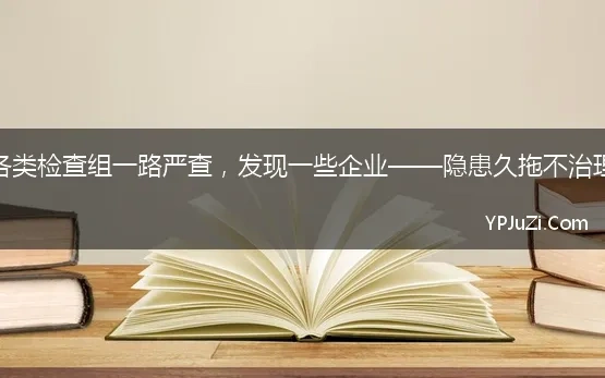 各类检查组一路严查，发现一些企业——隐患久拖不治理