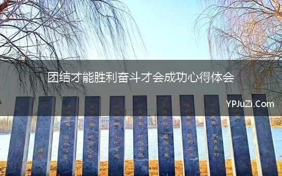 团结才能胜利奋斗才会成功心得体会