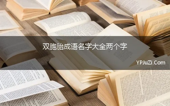 双胞胎成语名字大全两个字 取自成语的双胞胎男孩名字，