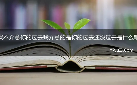 我不介意你的过去我介意的是你的过去还没过去是什么歌