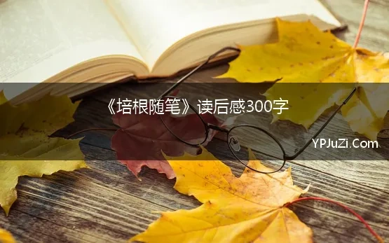 《培根随笔》读后感300字