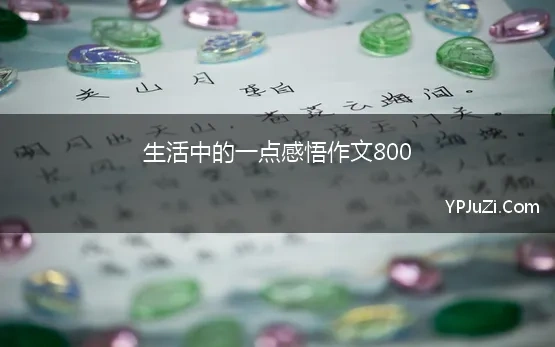 生活中的一点感悟作文800(感受生活美好作文800字)