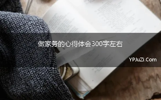 做家务的感受和体会作文300字左右