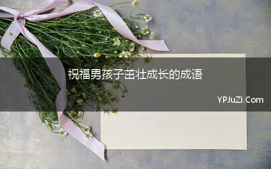 祝福男孩子茁壮成长的成语