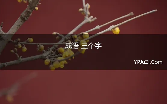 成语 三个字