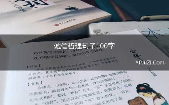 诚信哲理句子100字