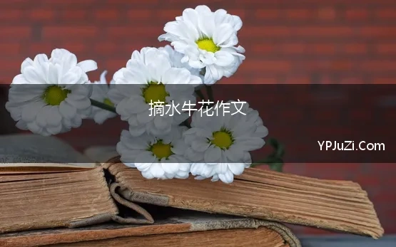 摘水牛花作文