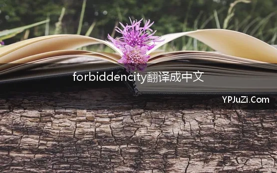 forbiddencity翻译成中文