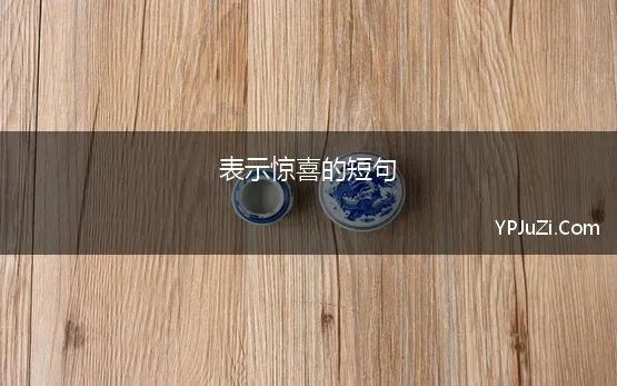 表示惊喜的短句