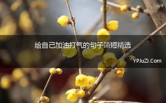 给自己加油打气的句子简短精选