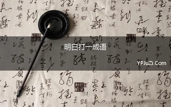 明白打一成语