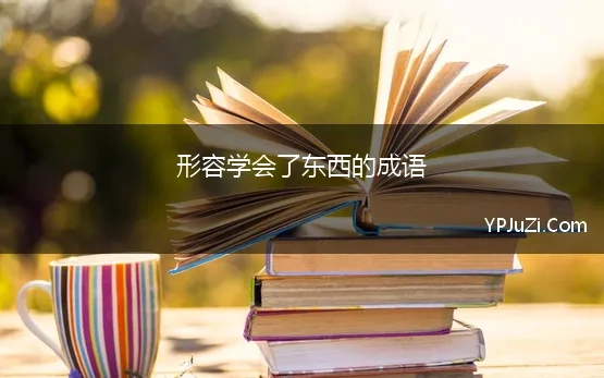 形容学会了东西的成语