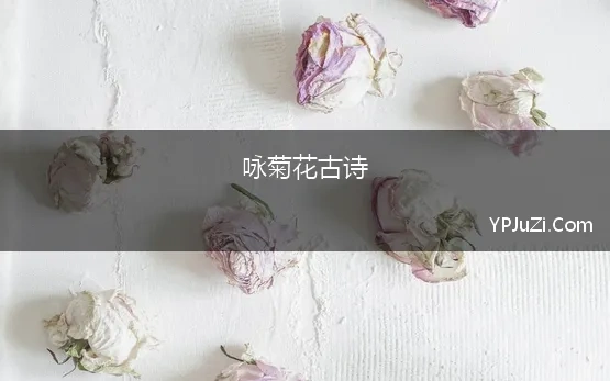 咏菊花古诗