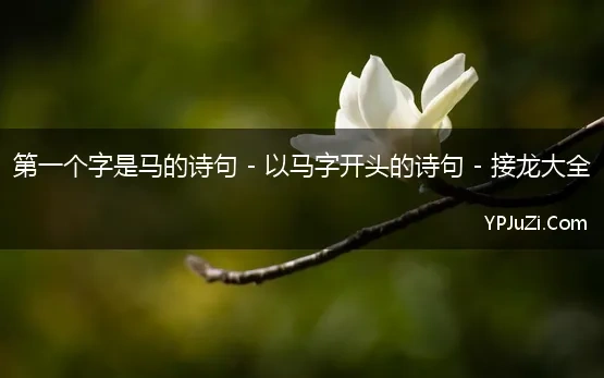 第一个字是马的诗句 - 以马字开头的诗句 - 接龙大全